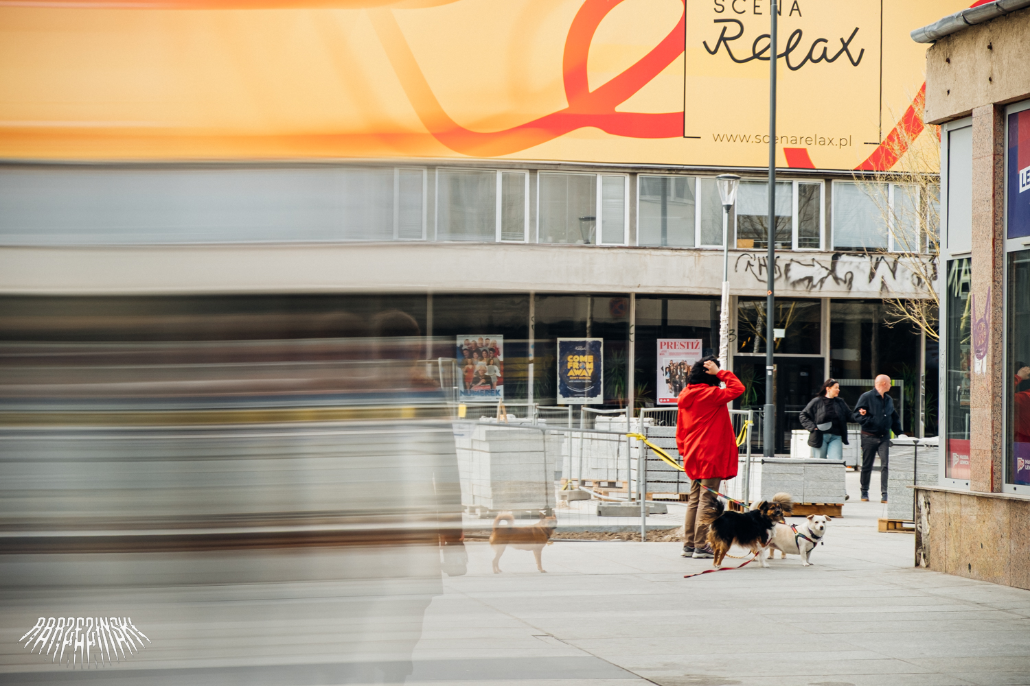 W witrynach miasta (galeria)